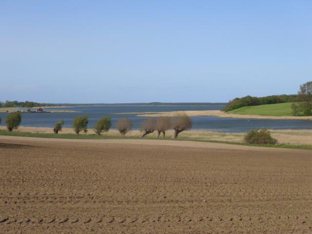 Ackerlandschaft mit Bodden